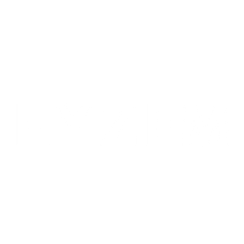 HYZEM